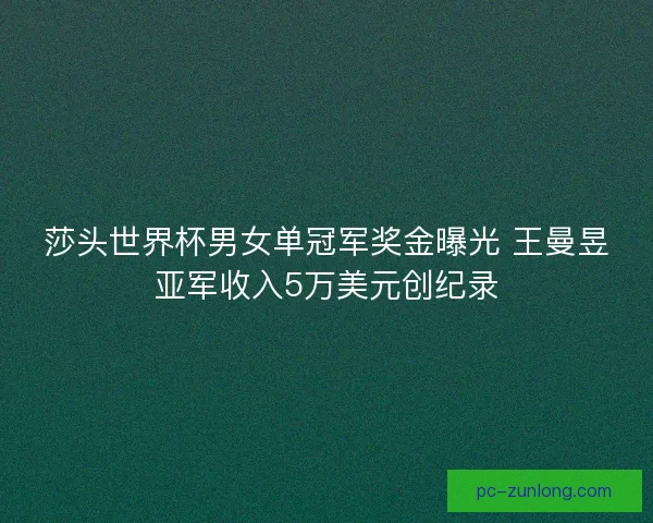 莎头世界杯男女单冠军奖金曝光 王曼昱亚军收入5万美元创纪录