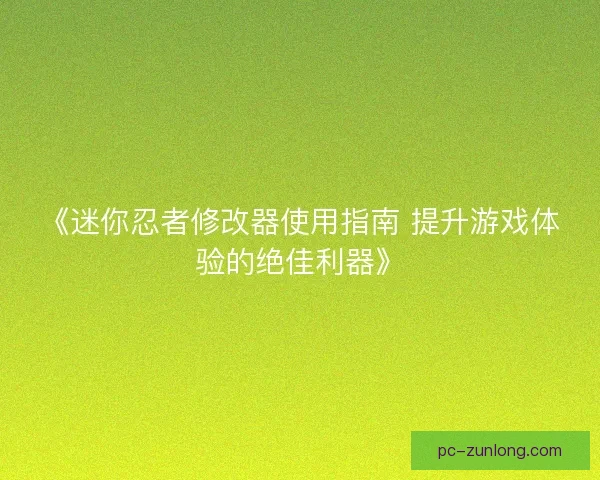 《迷你忍者修改器使用指南 提升游戏体验的绝佳利器》