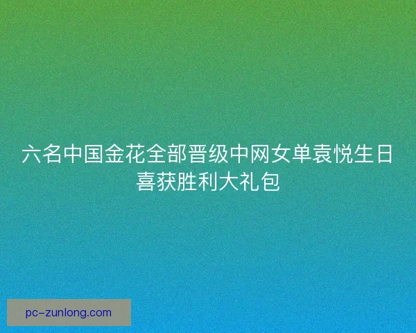 六名中国金花全部晋级中网女单袁悦生日喜获胜利大礼包