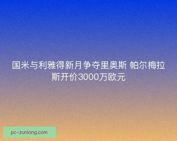 国米与利雅得新月争夺里奥斯 帕尔梅拉斯开价3000万欧元