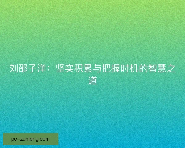 刘邵子洋：坚实积累与把握时机的智慧之道