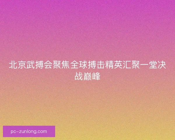 北京武搏会聚焦全球搏击精英汇聚一堂决战巅峰 北京武搏会聚焦全球搏击精英汇聚一堂决战巅峰